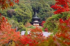 永観堂の紅葉