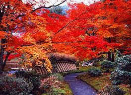 宝厳院