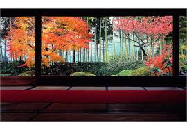 宝泉院の紅葉