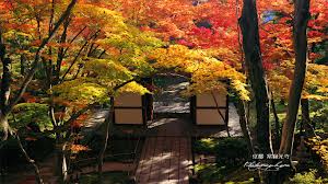 常寂光寺
