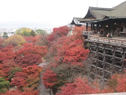 清水の舞台
