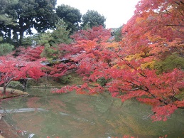 円山公園