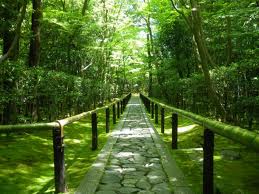 高桐院の緑