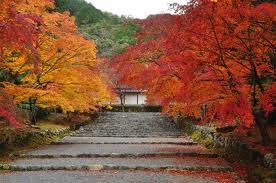 紅葉の馬場
