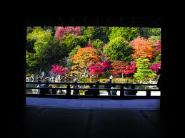 大方丈からの庭園